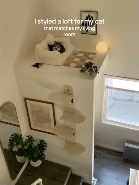 Cute Cat Interior Ideas, Cat Place Ideas, Tiny Home Cat Ideas, Bedroom With Cat Ideas, Cat Organization Ideas Small Spaces, Cat Eating Area, Cozy Cat Room, Small Apartment Cat Ideas, Cat Apartment Ideas Small Spaces