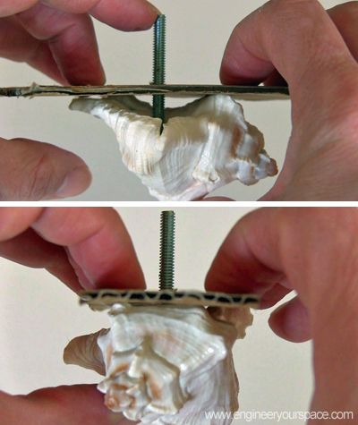 diy decorative shell dresser knobs, crafts, painted furniture, Place the cardboard with the bolt inside the shell and let dry Shell Knob, Diy Knobs, Mermaid Room, Beachy Decor, Diy Dresser, Decorative Knobs, Business Furniture, Dresser Knobs, Seashell Crafts