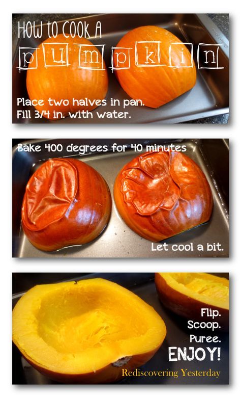 Fresh Pumpkin Recipes, Pumpkin Easy, Stomach Diet, Pumpkin Stew, Cooking Pumpkin, Winter Cooking, Homemade Pumpkin Puree, Easy Oven, Roast Pumpkin