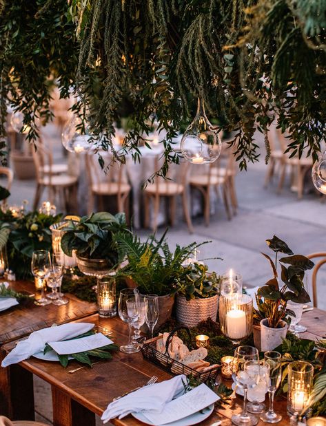 A Botanical Wedding in Philadelphia with Lush Plants + Magical Lighting - Green Wedding Shoes Botanical Wedding Decor, Greenery Bouquets, Lush Plants, Wedding Plants, Greenery Bouquet, Greenhouse Wedding, Magical Wedding, Botanical Wedding, Wedding Mood Board