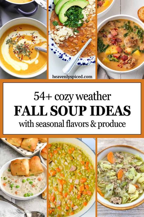 Fall soup ideas for every dietary preference and budget. Whether you're craving something creamy, light, hearty, brothy, vegan, veggie filled, or meaty, this list has you covered! Healthy weeknight recipes the whole family will love on a cold fall day. Fall Soup And Sandwich Ideas, Fall Veggie Soup, Soup Ideas For Dinner, Fall Soup Ideas, Brothy Soup Recipes, Brothy Soup, Fall Board, Soup Ideas, Seasonal Vegetables