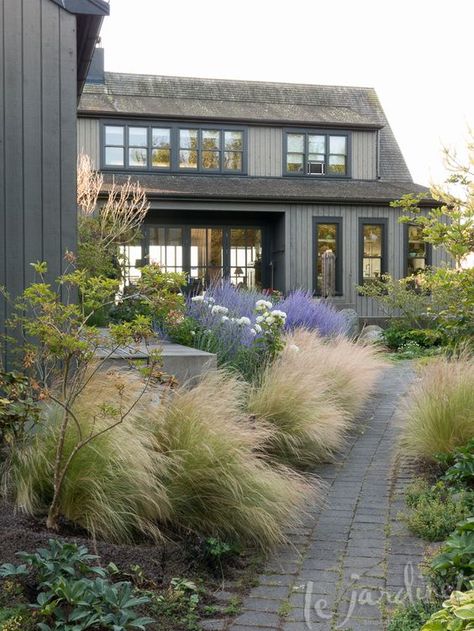 Landscaping With Ornamental Grasses, Landscaping Around House, Grasses Landscaping, Grasses Garden, Garden Shrubs, Landscape Designs, House Landscape, Ornamental Grasses, Front Garden