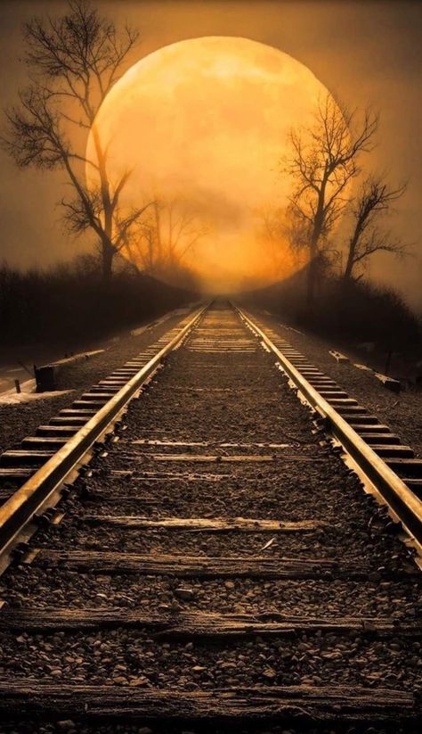 Sunset Rose, Jesus Tattoo, Souls Journey, Dark Phone Wallpapers, Picsart Background, Train Tracks, Videos Design, Spiritual Journey, Social Media Design