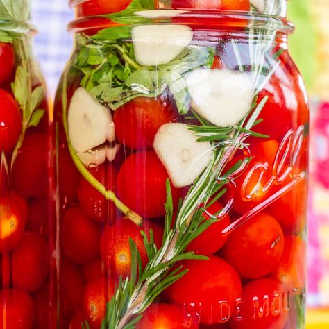 Pickled cherry tomatoes taste like pizza because they're made with minced garlic, oregano, salt! Store in refrigerator or can. Great for lots of tomatoes! Cherry Tomato Pickles, Refrigerator Pickled Cherry Tomatoes, Refrigerator Pickled Tomatoes, Canned Pickled Tomatoes, Cherry Tomatoes Pickled, What To Do With All My Cherry Tomatoes, Pickle Cherry Tomatoes, Preserved Cherry Tomatoes, Pickled Cherry Tomatoes Canned