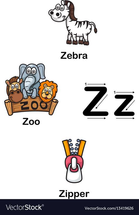 Letter Z Flashcards Printable Free, Letter Z Flashcards, Z Is For, Zipper Illustration, Letter Z Crafts, Craft Printables, Z Alphabet, Printable Alphabet Letters, Z Craft