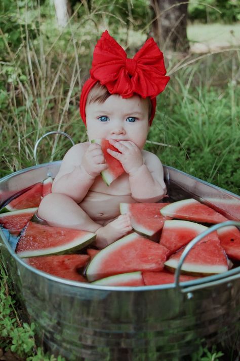 Summer Baby Photoshoot, 6 Month Photoshoot, Baby Picture Ideas, 6 Month Baby Picture Ideas, Baby Milestones Pictures, Monthly Baby Pictures, Monthly Baby, 6 Month Baby, Milk Bath