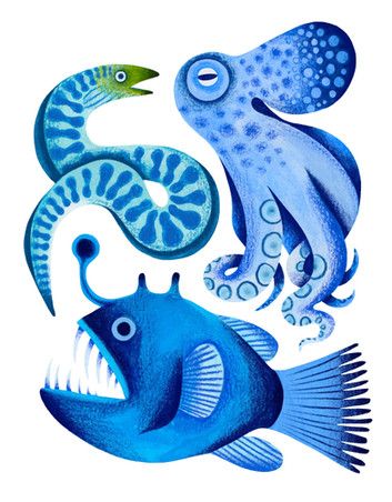 Pretty Saltwater Fish, Ocean Graphic Design Illustrations, Ocean Creatures Illustration, Colorful Fish Illustration, Ocean Animals Illustration, Angler Fish Painting, Ocean Folk Art, Watercolor Poster Design, Anglerfish Illustration