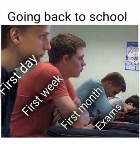 Evolution of academic exhaustion. #schoolsupplyboxes High School Memes, Class Memes, School Memes, Memes Humor, Going Back To School, Komik Internet Fenomenleri, School Humor, Daily Memes, Edgy Memes