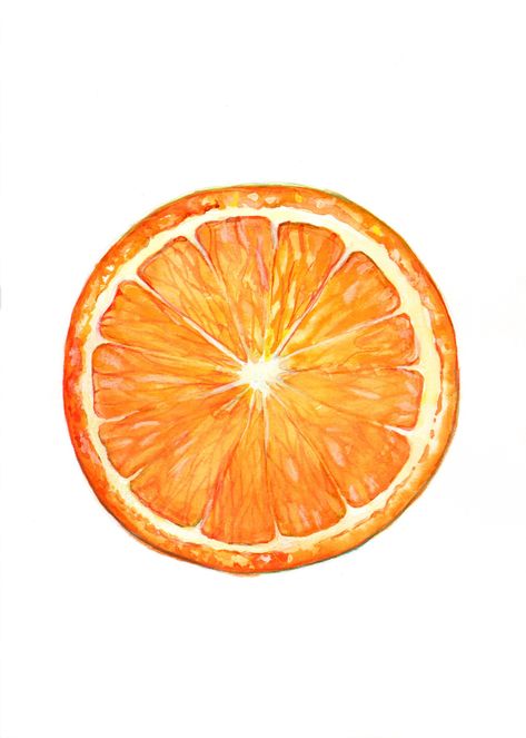 "This original painting of an orange slice was made using watercolor paint and watercolor pencils. It uses both wet in wet and layering techniques for a uniquely vibrant image. The painting is on a 5x7\" piece of high quality watercolor paper, and comes unframed. It is signed on the back as to not interrupt the seamless white space."