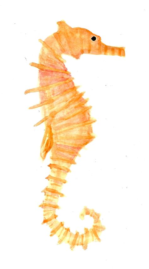 Pink Iguana, Seahorse Drawing, Beach Wall Collage, 타이포그래피 포스터 디자인, Sea Horse, Beginner Painting, Art Collage Wall, Watercolor Drawing, Picture Collage