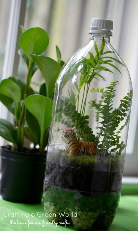 Recycled Soda Bottles | 23 DIY Mini Plant Terrarium Ideas Rainforest Crafts, Rainforest Project, Terrariums Diy, Bottle Terrarium, Rainforest Theme, Jungle Thema, Earth Day Projects, Earth Day Crafts, Deco Nature