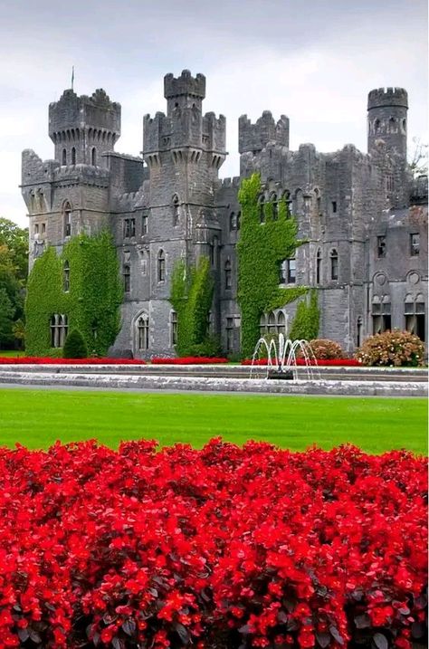 Cong Ireland, Ashford Castle, Ireland Landscape, Castle Ruins, Castle House, Fantasy Castle, Beautiful Castles, A Castle, Beautiful Villages