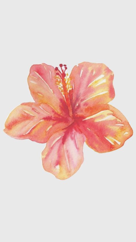 Hibiscus Flower Drawing, Beachy Wallpaper, Pink Scrapbook, Coral Wallpaper, Hibiscus Plant, Iphone Wallpaper Fall, Cute Flower Wallpapers, Iphone Wallpaper Photos, Ipad App