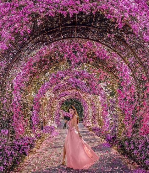 Sacks Productions on Instagram: “#regram: @wedluxe  Tunnel of floral DREAMS! 😍 || Via @seasonal_looks” Japanese Cemetery, Landscaping Garden Design, Gardens By The Bay Singapore, Travel Singapore, Floral Archway, Wow Photo, Singapore Photos, Water Lily Pond, Indoor Waterfall