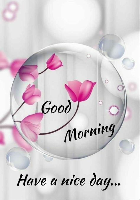 Good Morning Have A Nice Day, Good Morning Friday Gif, Gud Morning Images, Good Morning Gift, Good Morning Greeting Cards, Good Morning Coffee Gif, Good Morning Beautiful Gif, Happy Morning Quotes, Good Morning Animation