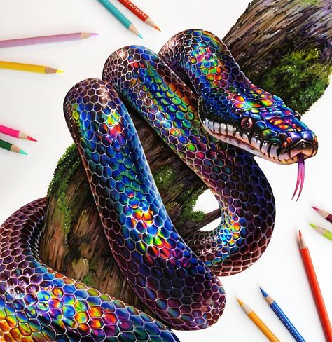 Colored pencil rainbow snake drawing with a marker base! 🐍🌈✨Process will be uploaded to my saved stories! 💕 Thank you all for all of your… Morgan Davidson, Snake Painting, Rainbow Snake, Colorful Snakes, Pretty Snakes, Snake Drawing, Snake Wallpaper, Prismacolor Art, Pencil Drawings Of Animals