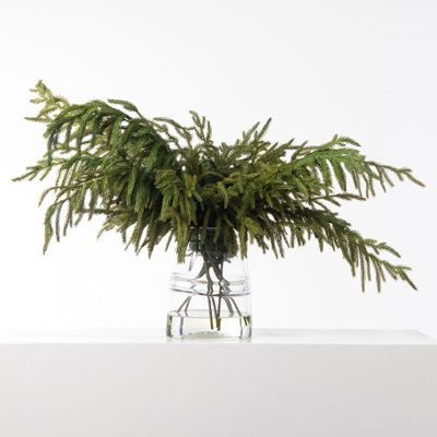 Christmas Vase Arrangements, Branches Centerpiece, Luxury Glassware, Glass Jug Vase, Garland Table Runner, Branch Centerpieces, Norfolk Pine, Centerpiece Christmas, Model Room