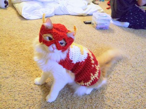 I Am The Flash Cat ... Check Out These Crochet Superhero Cosplays For Cats! Patterns & Tutorials Too! #cat #cats #caturday #handmade #diy #cosplay Crochet Flash, Cat Outfits Pets, Cat Christmas Costumes, Cat Hat Pattern, Silly Kitties, Crochet Cat Hat, Cat Cosplay, Cat Talk, Cat Fashion