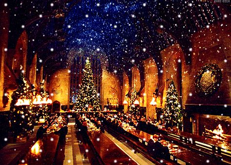 Harry Potter Pc, New Year Movie, Harry Potter Places, Hogwarts Great Hall, 컴퓨터 배경화면, The Great Hall, Great Hall, Harry Potter Christmas, Harry Potter Collection