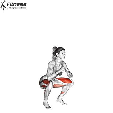 Jump Squats are a plyometric exercise. Plyometrics are explosive aerobic moves that increase speed, quickness, and power and they work your whole body. Jump Squats Workout, Squats Muscles Worked, Jumping Squats, Fitness Gif, Calisthenics Exercises, Plyometric Exercises, Squats Workout, Benefits Of Squats, Squat Jump