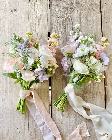 Forever enchanted by soft summer pastels 🦢 Summer is here, and even with the changing weather, we love seeing the wildflowers and hedgerows in full bloom. It’s a reminder of just how beautiful nature really is! We’re excited to see what July brings over in the studio ✨ Pastel Summer Wedding Flowers, Tuscan Bridal Bouquet, Cottage Garden Wedding Bouquet, Bridesmaid Theme Ideas, Small Pastel Bouquet, Small Bridesmaids Bouquets, Small Bridesmaid Bouquet Simple, Pastel Bridesmaid Bouquet, Pastel Boutonniere