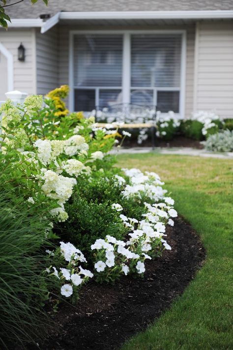 Maria Killam's White Garden Transformation: Before & After - White Garden Landscaping, White Flower Garden Landscaping Ideas, Flower Aesthetic White, Aesthetic White Flowers, White Flower Aesthetic, White Flowers Aesthetic, White Petunias, White Flower Arrangement, Perennial Garden Design