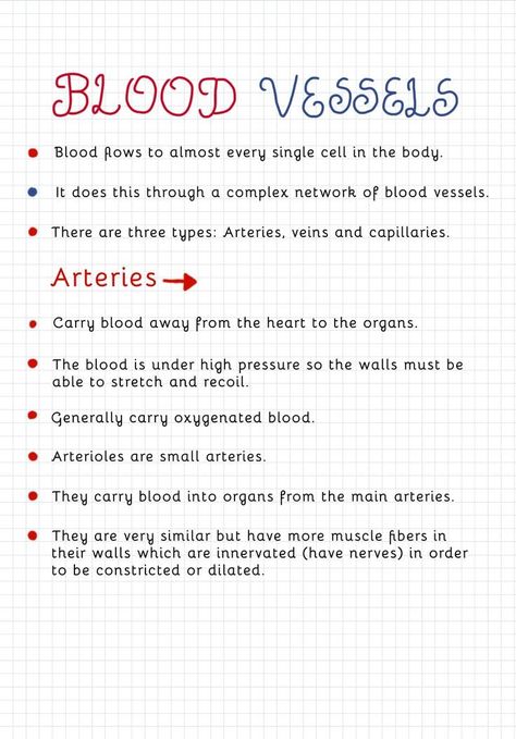 Gcse Science Notes, Gcse Science Revision Biology, Gcse Revision Help, Heart Biology Notes, Gcse Biology Notes, Gcse Study Notes, Heart Revision, How To Revise Science, Science Revision Notes Biology