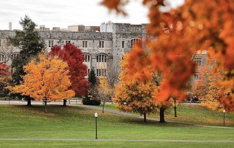 Maroon & Orange trees @ Virginia Tech in the fall Virginia Tech Campus, Virginia Tech Football, Explore Idaho, Football Champions, Orange Trees, Tech Aesthetic, Liberty University, Virginia Tech Hokies, College Aesthetic