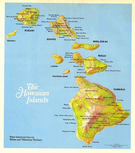 Hawaiian Traditions, Tattoos Meaning Family, Hawaiian Tattoo Meanings, Hawaii History, Hawaiian Islands Map, Map Of Hawaii, Kaanapali Maui, Hawaii Vacation Tips, Hawaiian Tattoos