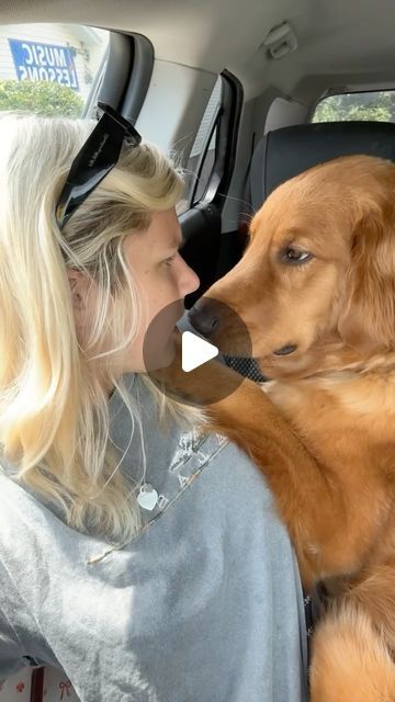 Happy Dogs Funny, Chien Golden Retriever, Clever Dog, Very Cute Dogs, Really Cute Dogs, Lap Dogs, Retriever Puppy, Funny Dog Videos, June 19