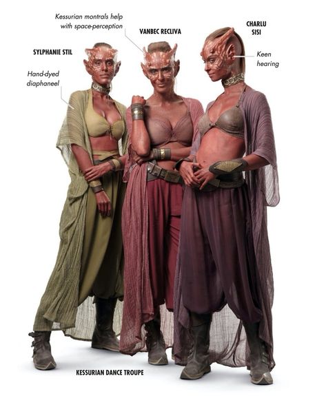 Costume Concept Art, Costume Concept, Visual Dictionary, The Rise Of Skywalker, Rise Of Skywalker, Star Wars Concept Art, Alien Concept, Star Wars Rpg, Star Wars Costumes