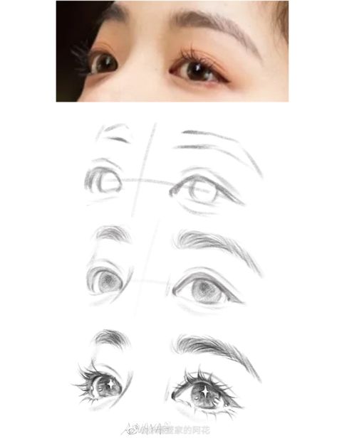 Square Eyes Drawing, How To Draw Lashes Digital, Eyelash Drawing Reference, Eyelash Reference, Semi Realistic Eyes Tutorials, Female Eyes Drawing Reference, How To Draw Realistic Eyes, How To Draw Lashes, Eyes Drawing Realistic