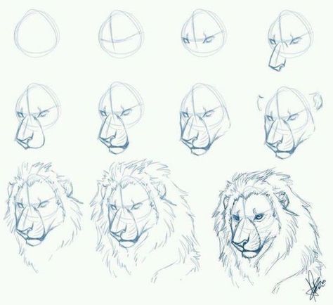 how to draw a lion in eleven steps step by step drawing animals pencil sketch on white background Trin For Trin Tegning, Easy Pencil Drawings, Lion Sketch, Lion Drawing, Pencil Drawings Easy, Lion Art, Pencil Art Drawings, Sketch Art, Realistic Drawings