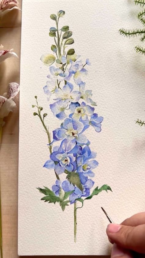 Larkspur Delphinium for the weekend 💙 . . . Materials used • @derwentart_india Inktense studio pans set • @derwentart_india inktense… | Instagram Vintage Larkspur Illustration, Delphinium Botanical Illustration, Blue Delphinium Painting, Larkspur Flower Painting, Delphium Flower Tattoo, Watercolor Paint Flowers, Delphinium Flower Aesthetic, Larkspur Illustration, Delphinium Flower Drawing