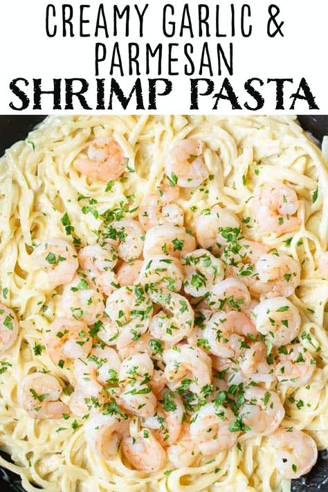 Creamy Garlic Parmesan Shrimp Pasta, Creamy Garlic Shrimp Linguine, Shrimp Scampi With Parmesan Cheese, White Sauce For Seafood Pasta, Creamy Pasta Recipes Shrimp, Gluten Free Seafood Pasta, Garlic Parmesan Shrimp Scampi Pasta, Buttery Shrimp Pasta, White Shrimp Pasta