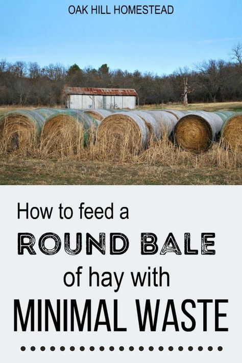 Round Bale Hay Storage, Round Bale Hay Feeder For Horses, Round Bale Hay Feeder Diy, Hay Ring, Diy Round Bale Feeder Horses, Diy Round Bale Feeder, Round Bale Feeder Diy, Hay Hut, Round Bale Hay Feeder