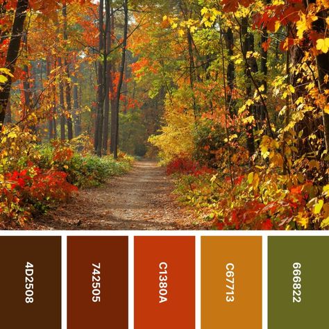 Sage Green And Cranberry Color Palettes, Autumn Leaves Colour Palette, Fall Leaf Color Palette, Autumn Paint Palette, Green Autumn Color Palette, Fall Color Inspiration, Fall Leaves Colors, Autumn Leaf Color Palette, October Colors Palette