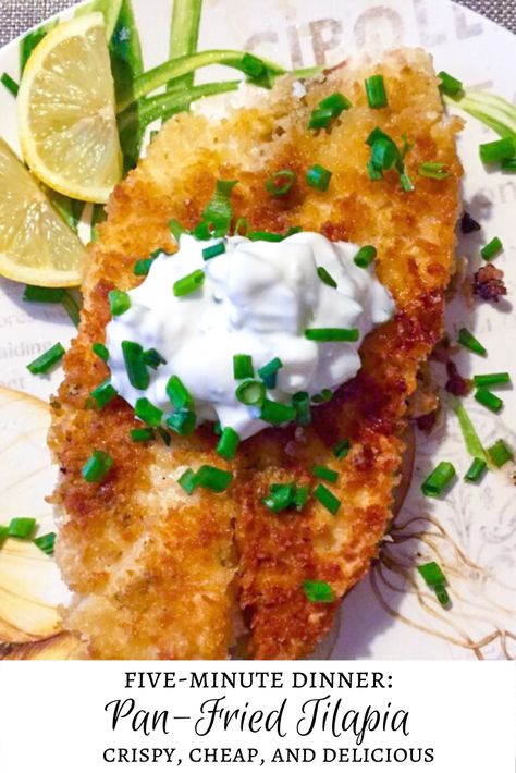 Pan-fried Tilapia - Panko Tilapia Fried, Tilapia Recipes Breaded, Fried Talapia Ideas, Breaded Tilapia Recipes Fried Fish, Crusted Talipia Recipes, Tilapia Breaded Recipes, Breaded Talapia Ideas, Tilapia Fried Recipes, Best Way To Cook Tilapia