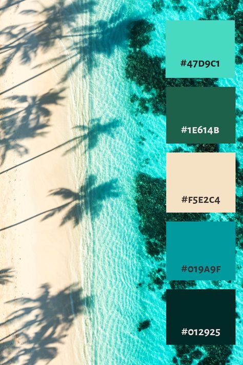 #colorpalette #palette #color #colorscheme #colorswatch #colourpalette #colorinspiration #inspiration #graphicdesign #branding #design #hexcode Tropical Wedding Colors Palette Blue, Caribbean Blue Color Palette, Starfish Color Palette, Island Colour Palette, Underwater Colour Palette, Tropical Colour Palette, Sea Colour Palette, Color Palette Blue Green, Tropical Wedding Color Palette