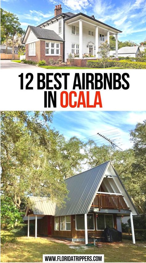 12 Best Airbnbs In Ocala Ocala Florida, Florida Travel Guide, North America Travel Destinations, Vacation Usa, Usa Travel Guide, Travel Articles, Family Travel Destinations, Amazing Travel Destinations, Florida Vacation