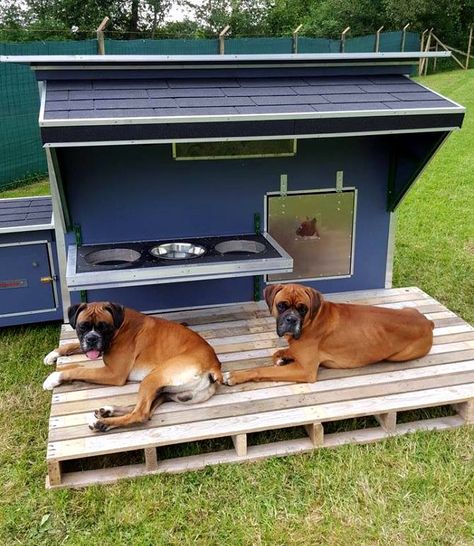 Katt Hus, Pallet Dog House, Dog Yard, Dog House Diy, Dog Area, Dog Rooms, Outdoor Diy, Animal Projects, Dog Runs