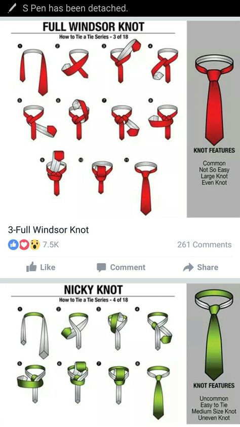 Full Windsor Knot, Simpul Dasi, Windsor Knot, Gift Wrapping Techniques, Wedding Magazine, Men's Wardrobe, Treasure Chest, Backsplash, Stuff To Do