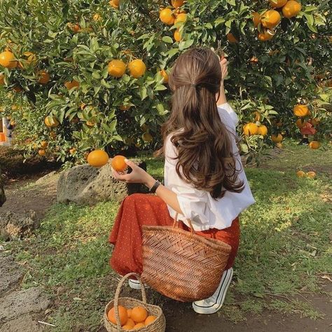 Cottage Core Aesthetic, Orange Tree, Retro Mode, Korean Aesthetic, Cottagecore Aesthetic, Spring Aesthetic, + Core + Aesthetic, 가을 패션, Nature Aesthetic