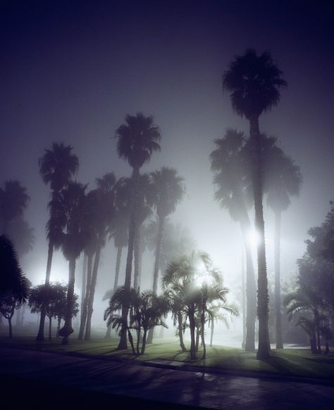 nightlandscapes-9 #night #photography #light Landscape Photography Trees, June Gloom, Night Landscape Photography, Beautiful Landscape Photography, 4 Wallpaper, Night Landscape, Light Images, The Fog, Photography Projects