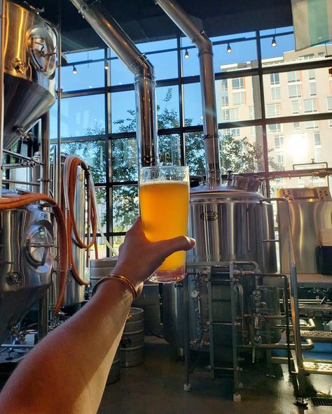 Clean beer and a clean brewhouse, what more could you ask for?! 🍻 • • • I may be a little MIA this weekend because work is kicking in… Beer Pictures Instagram, Brewery Instagram Pictures, Brewery Aesthetic, Beer Shots, Beer Shot, Thesis Ideas, Beer Pictures, Beer Photography, Just My Luck