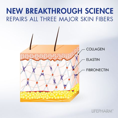 Lamiderm Apex: scientiﬁcally proven to target all three of your major skin ﬁbers:  • Collagen  • Elastin  • Fibronectin  It’s a revolution in skin science. Take Charge Of Your Life, Collagen Fibers, Skin Science, Take Charge, Better Health, Health And Wellness, Target, Repair, Science