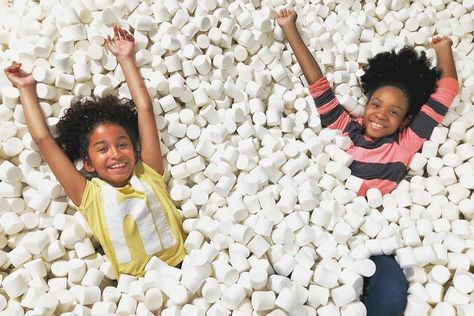 Things to Do in Philly this Weekend: Candytopia, Museum Day Live! September 21-22 Candy Museum, Things To Do In Philly, Best French Fries, Giant Marshmallows, Dog Cafe, Curious Kids, Mall Of America, Fix Credit, Nyc Shopping