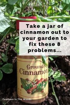 8 different uses for cinnamon in the garden. From fungus gnats to rooting hormone, cinnamon has a host of uses for both houseplants and gardens. Plus, it's organic! Here's how to use it effectively. #gardening #organicgardening #garden #gardentips Cinnamon In The Garden, Cinnamon Garden, Kebun Herbal, Taman Diy, Funny Vine, Garden Remedies, نباتات منزلية, Rooting Hormone, Garden Wallpaper