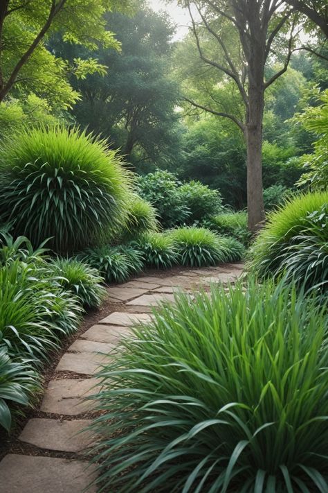 Explore a variety of ornamental grasses perfect for shady areas in your garden. From tall grasses to non-invasive options, find the best ornamental grasses that thrive and add beauty to shaded landscapes. Whether you're looking for ornamental grasses that grow well in both sun and shade or specifically seeking tall options, there are plenty of choices available. Enhance your garden with these shade-friendly plants and create a lush, green oasis even in low-light spaces. Shaded Front Yard Landscaping Ideas, Shaded Area Landscaping, Tall Grass Landscaping Front Yards, Front Yard Shade Ideas, Miscanthus Adagio, Grass For Shady Areas, Tall Shade Plants, Grasses For Shade, Tall Grass Landscaping