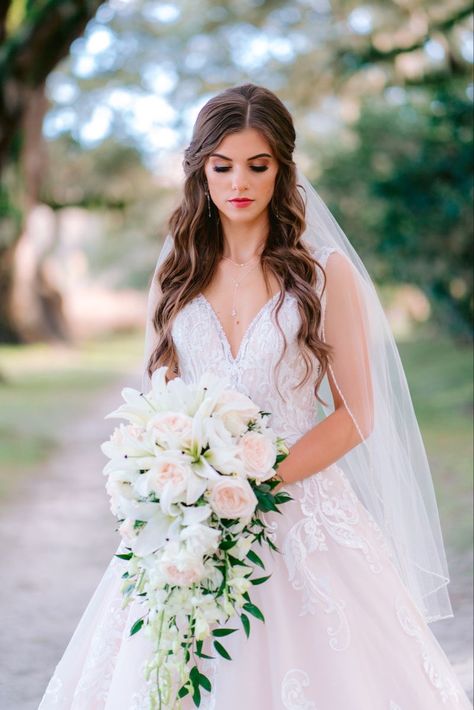 Long Hairstyles For Brides With Veil, Bridal Hair Widows Peak, Wedding Hairstyles For Ball Gown Dress, Half Up Hair With Tiara, Bride With Hair Down And Veil, Bridal Hairstyles Front Look, Bride Wedding Hair Down With Veil, Wedding Hairstyles V Neck Dress, Wedding Hairstyle Half Up Half Down With Veil And Tiara